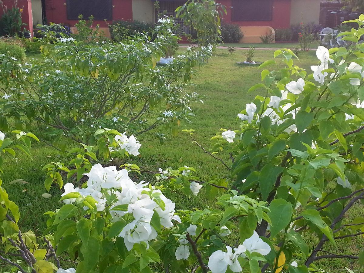 Golden Lilies Hotel Kokrobite Luaran gambar